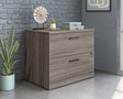 Affiliate Lateral File Unit