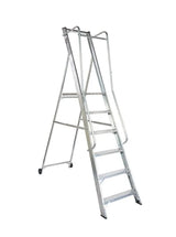 Lyte Magnastep NBSWPM Wide Platform Stepladders with Double Handrails