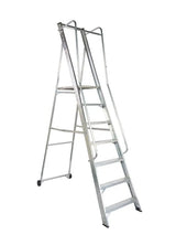 Lyte Magnastep NBSWPM Wide Platform Stepladders with Double Handrails